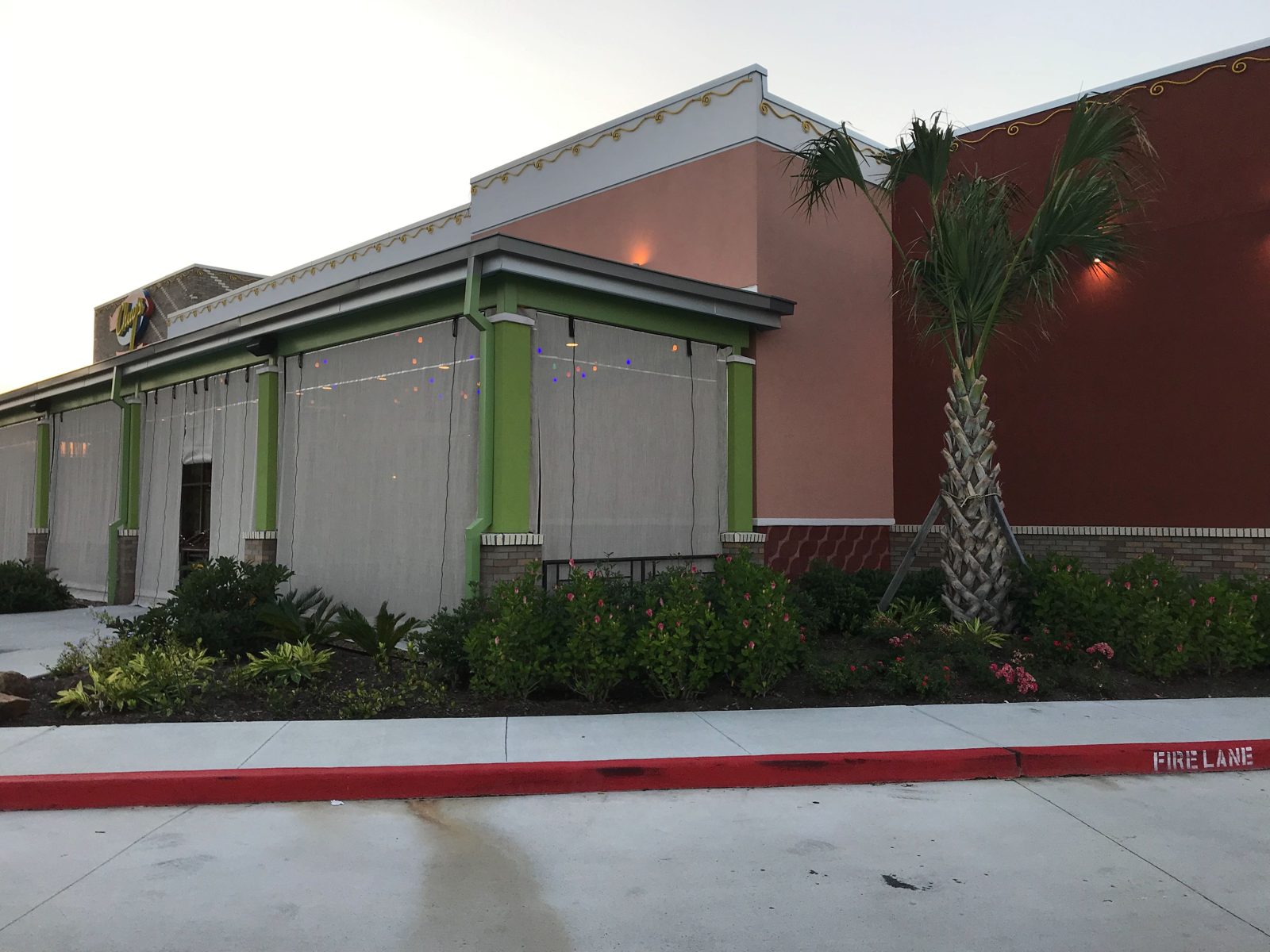 Chuy's Tomball: mesh sun shades down across the patio bays between the green columns, the palm at the corner