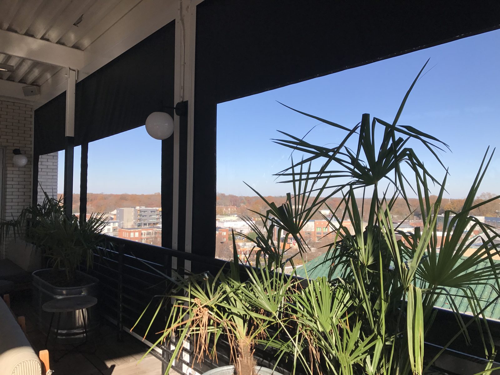 After: palms at the rail with the black screen above and downtown Durham beyond