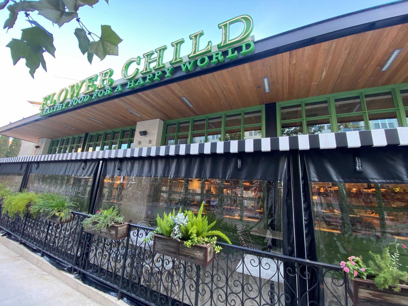 After: the long run of clear panels under the striped awning, the green window frames and the dining room through the vinyl