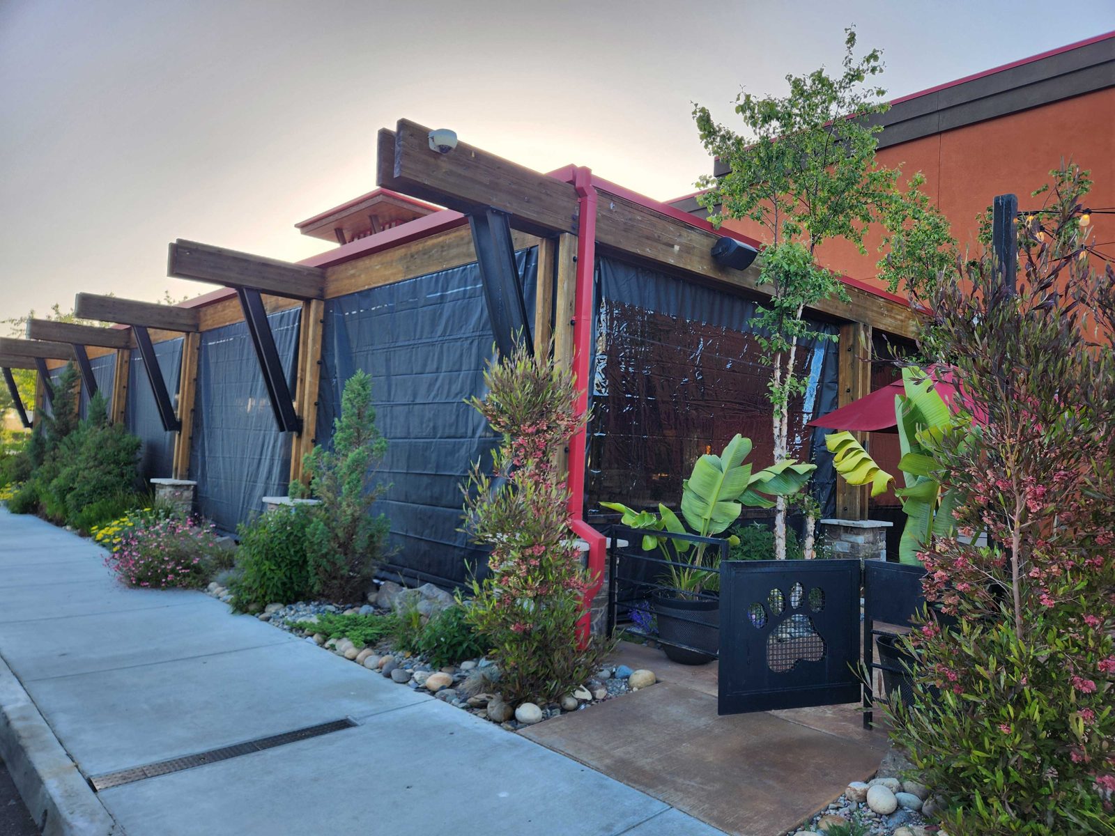 Lazy Dog Newark, California: the timber patio closed in black and clear at dusk, the paw-print gate at the corner