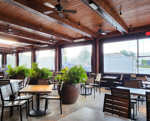 LazyDog-Boca-interior